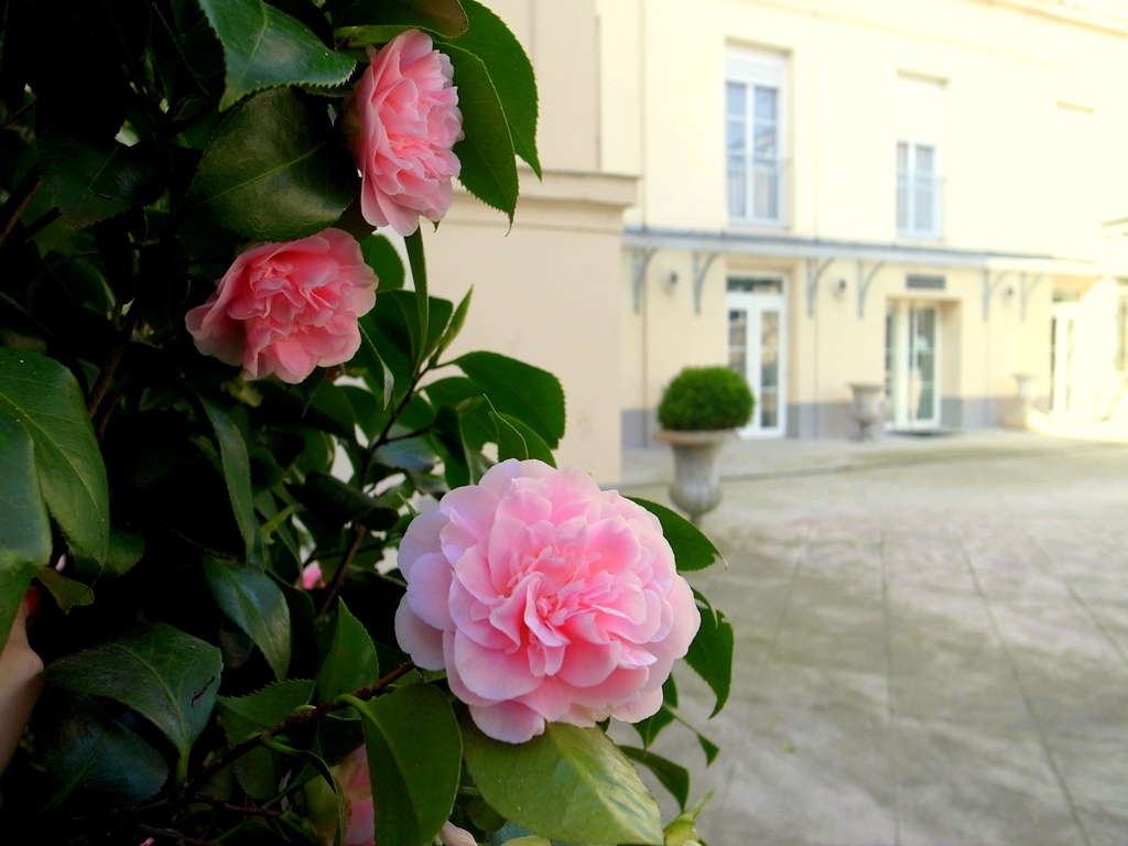 Read more about the article Heading into a promising 2025/2026 year !